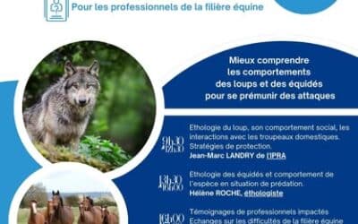 Journée d’information Loups-équidés
